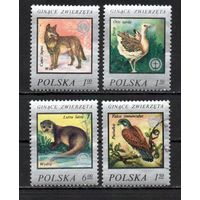 Дикие животные Польша  1977 год серия из 4-х марок
