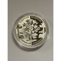 20 рублей Зверобой четырехкрылый Святаяннік чатырохкрылы 2013 Серебро Беларусь Ag925