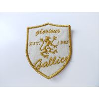 Шеврон, нашивка (Франция)