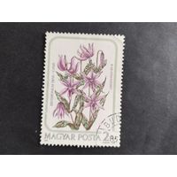 Венгрия  1985 цветы