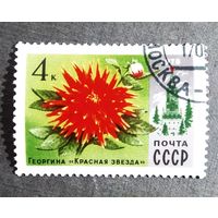 Марка СССР 1978 год Цветы