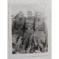 Фото в коллекцию