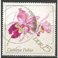 ГДР. Цветы. Орхидея Каттлея. 1968г. Mi#1422.