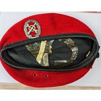 Германия берет  службы ремонта