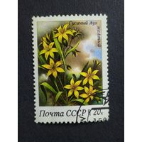 1983 СССР. Флора. Цветы. Гусиный лук желтый