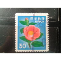 Япония, 1980. Стандарт. Камелия японская