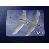 Календарик 2025 г.  Лебеди.