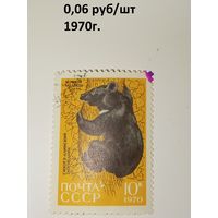 Марка СССР 1970 год Сихотэ-Алинский заповедник Черный медведь