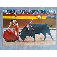 Этнография. Испания, коррида