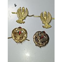 Петлицы Пограничники