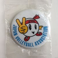 Japan Volleyball Association (Японская волейбольная ассоциация)