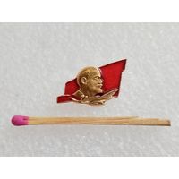 Знак-фрачник. В. И. Ленин, флаг, лавр