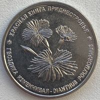 Приднестровье 1 рубль 2025 г. Красная книга. Гвоздика изменчивая