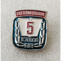 5 класс. Средняя школа. Школьный значок #0537-UP14