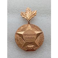 Трудовая слава. Минская область. #-VII-04