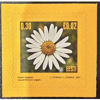 Эстония 2007. Флора. Цветы. Ромашка