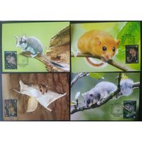 Беларусь 2021 КМ грызуны, тираж 25 экз. .