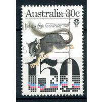 Австралия - 1984г. - опоссум - 1 марка - гашёная [Mi 909]. #3-WB-83-A-2