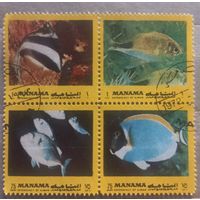 Манама. 1972г. Фауна. Рыбы.