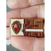 25 лет