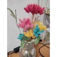 Сухоцветы -зайчий хвостик