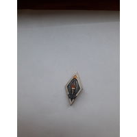 Членский значоу ВДПО