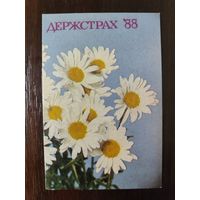 Карманный календарик страхование