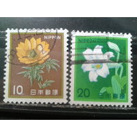 Япония, 1982. Стандарт. Цветы, полная серия