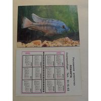 Карманный календарик. Аквариумные рыбы.1992 год
