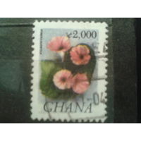 Гана, 2005. Ипомея