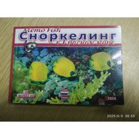 Сноркелинг в Красном море.
