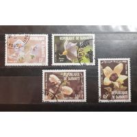 Джибути. 1981 год. Флора. Цветы (317)