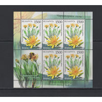 Флора цветы Беларусь 2009 Малый лист "Чернокорень голый"