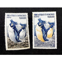 ТААФ Французские территории 1956 г. Пингвины. Антарктическая Фауна,  2 марки. Чистые #0072-Ч1P9