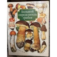 Большой определитель Грибов