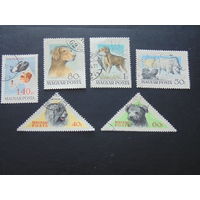 Венгрия 1956 г. Собаки.