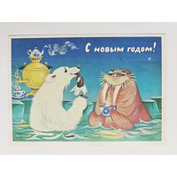 Грудинина 1987 С новым годом