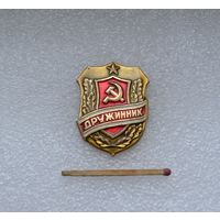 Дружинник.
