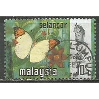 Малайские штаты(Селангор). Бабочка белянка. 1971г. Mi#109.