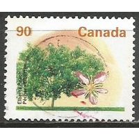 Канада. Фруктовое дерево. Персик. 1995г. Mi#1499.