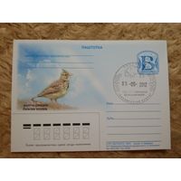 СГ Беларусь. 2012. Беловежская пуща. Жаворонок