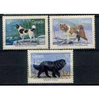 Канада - 1988г. - собаки - 3 марки - гашёные. #3-WB-94-KS-7
