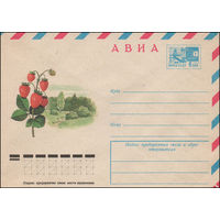 Художественный маркированный конверт СССР N 12182 (24.06.1977) АВИА  Земляника