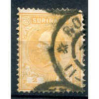 Нидерландские колонии - Суринам - 1883г. - король Вильгельм III - 1 марка - гашёная [Mi 15]. #3-WB-87-A-1