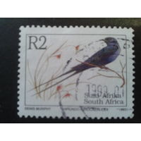 ЮАР 1993 птица