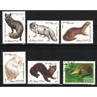 СССР 1980, Фауна, пушные звери, Mi 1,56, С231