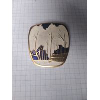 Редкая брошь СССР