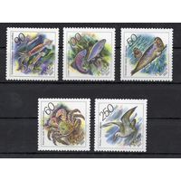 Россия 1993. Фауна. Животные морей 5 марок 104-108 (6