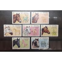 Куба. 1972 год. Фауна. Лошади (389)