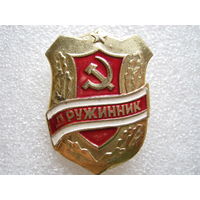 Дружинник.